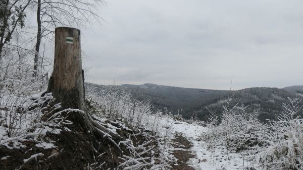 _1125130.jpg
