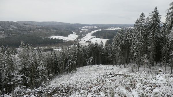 _1125133.jpg